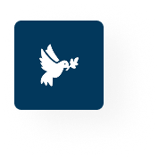 reason alt text