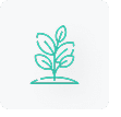 feature icon